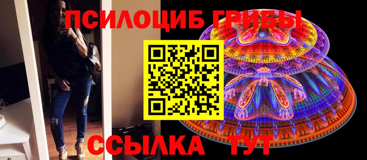 Псилоцибиновые грибы Cubensis  Вход с VPN  Большой Камень  Галлюциногенные грибы прущие грибы 